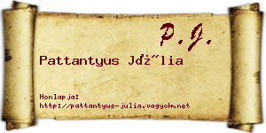 Pattantyus Júlia névjegykártya